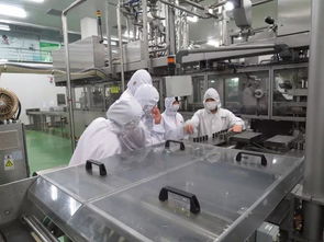 食品厂管道容器储存罐如何清洗消毒灭菌